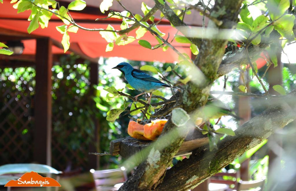 Pouso Sambaquis Hotel Ilhabela Exterior foto